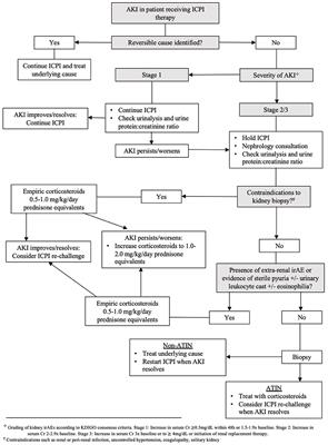 The role of kidney biopsy in immune checkpoint inhibitor nephrotoxicity